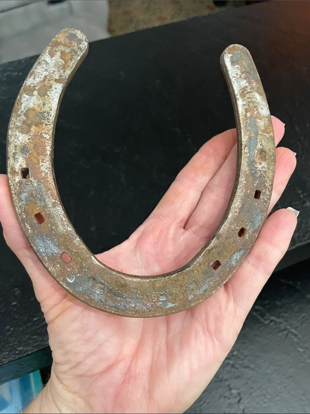 Classic Rustic Horseshoe - Silver/Brown